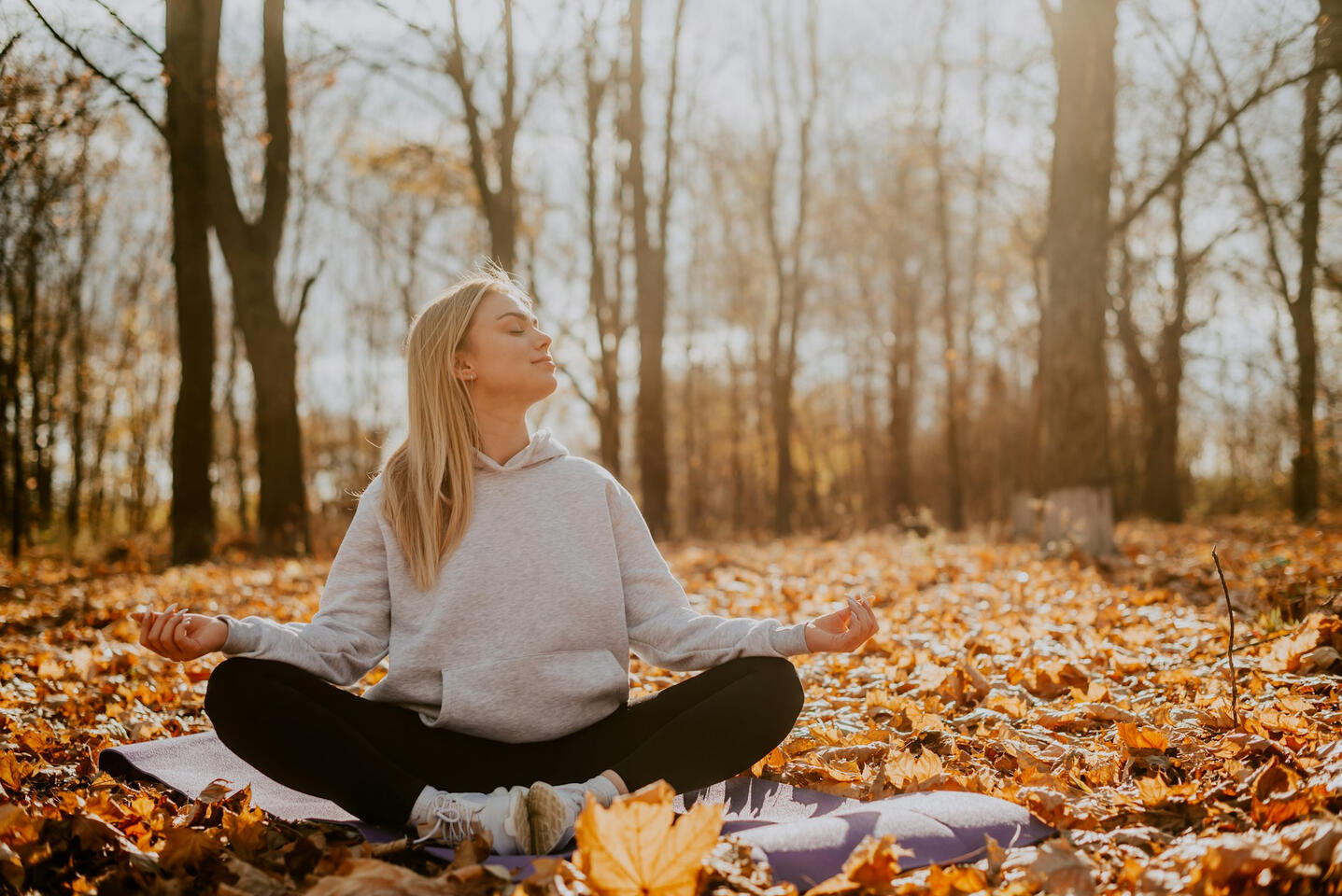 Mindfulness Coaching